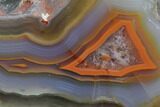 Beautiful Condor Agate From Argentina - Cut/Polished Face #79488-1